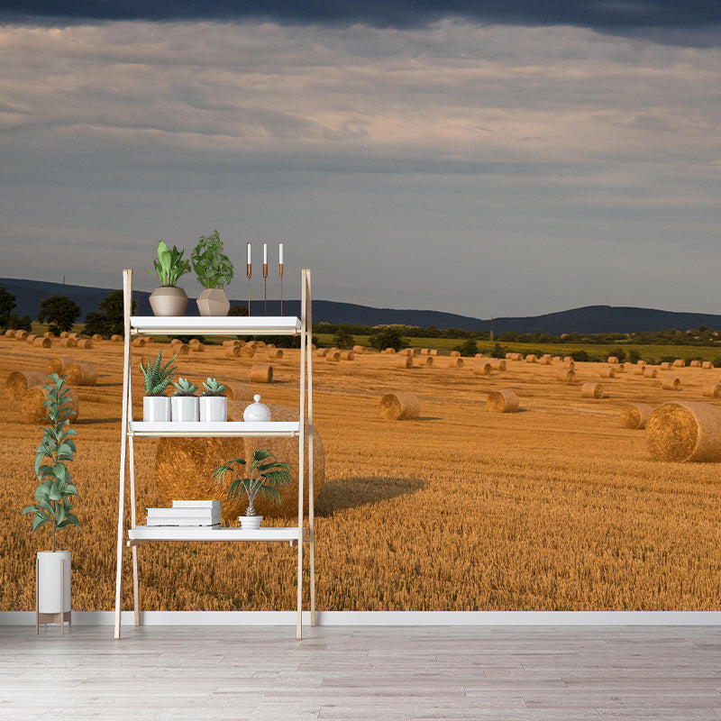 Customized Straw Bales Mural Environment Friendly Wallpaper for Decoration