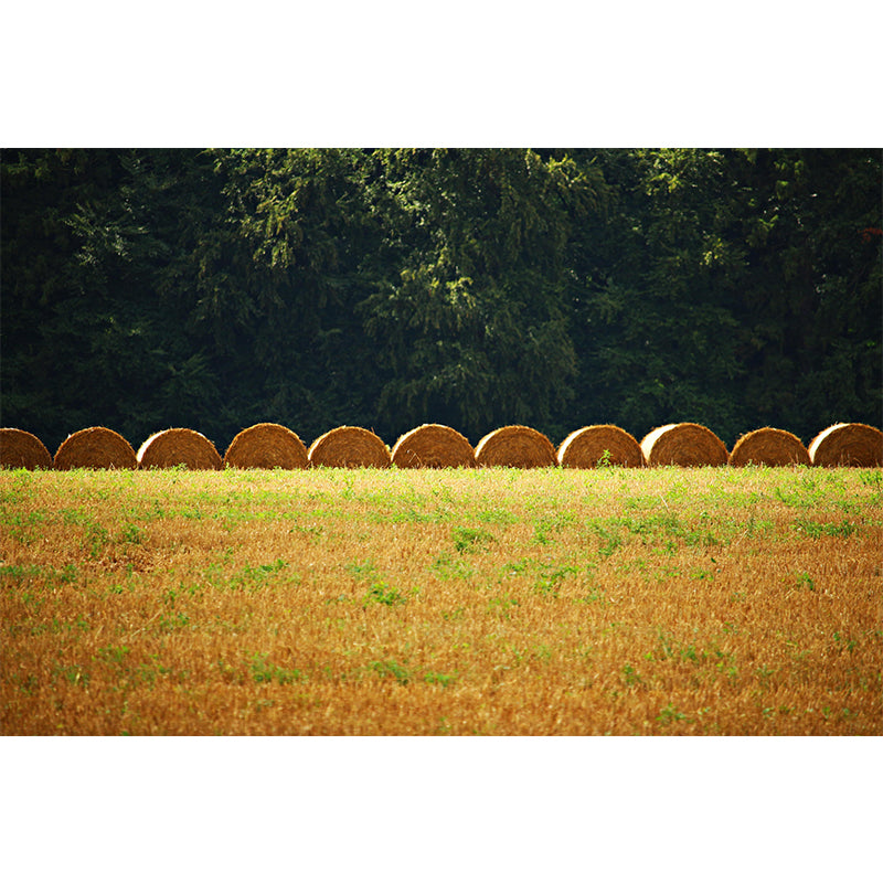 Straw Bales Wall Mural Moisture Resistant Wallpaper Wall Decor for House Interior