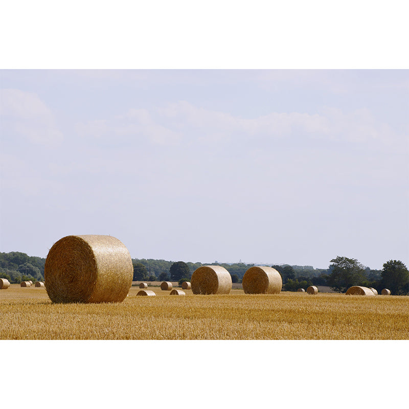 Customized Straw Bales Mural Environment Friendly Wallpaper for Living Room