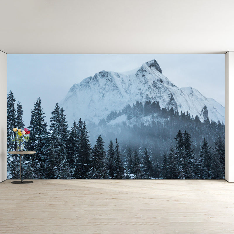 Mountain Landscapes Wall Mural Eco-friendly Wall Decor for House Interior