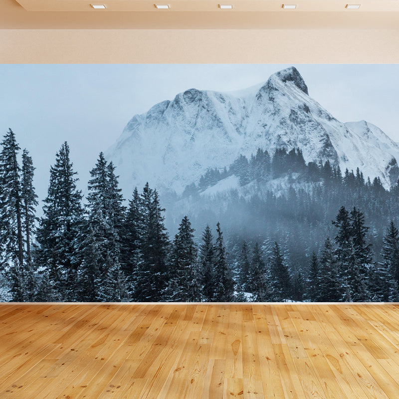 Mountain Landscapes Wall Mural Eco-friendly Wall Decor for House Interior