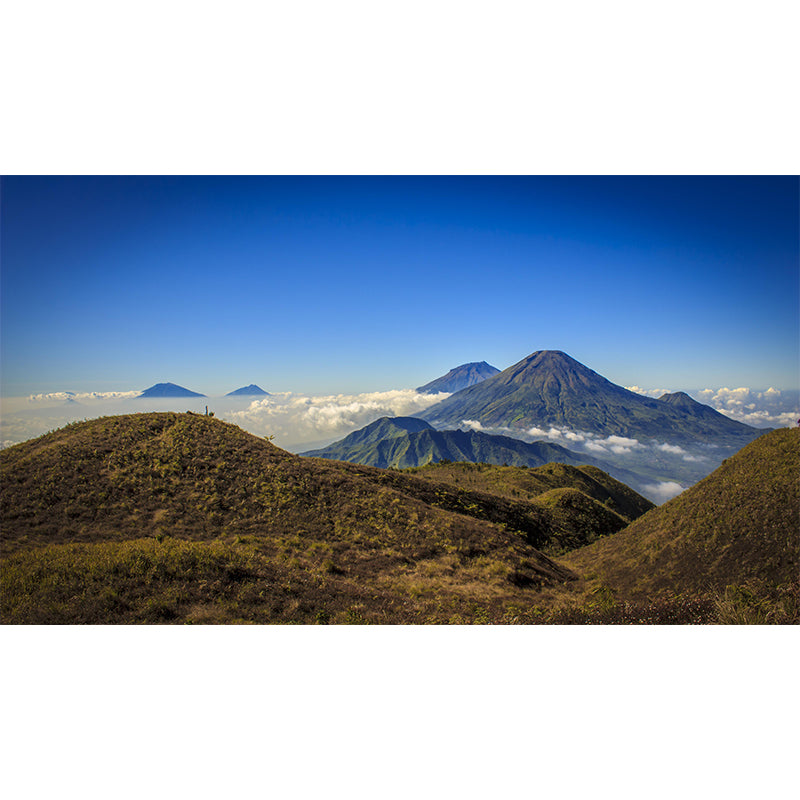 Magnificent Mountain View Mural Wallpaper Mildew Resistant for Bedroom Decor