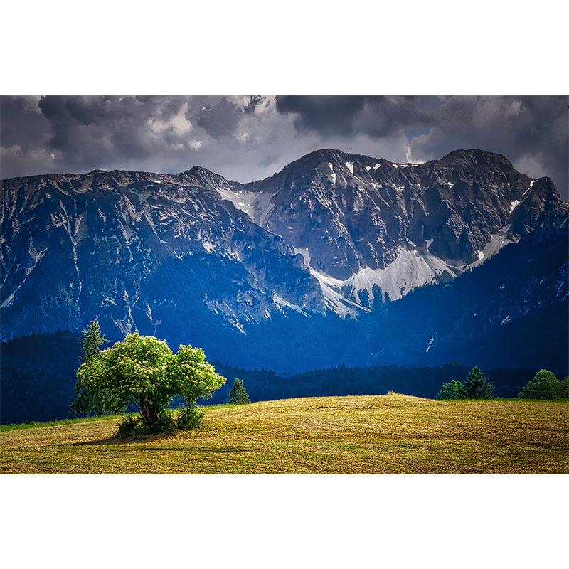 Magnificent Mountain Landscapes Mural Photography Style for Dining Room