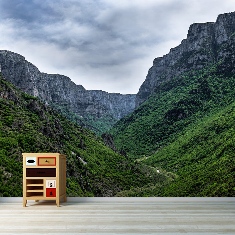 Mountain Landscapes Mural Moisture Resistant Wall Decor for House Interior