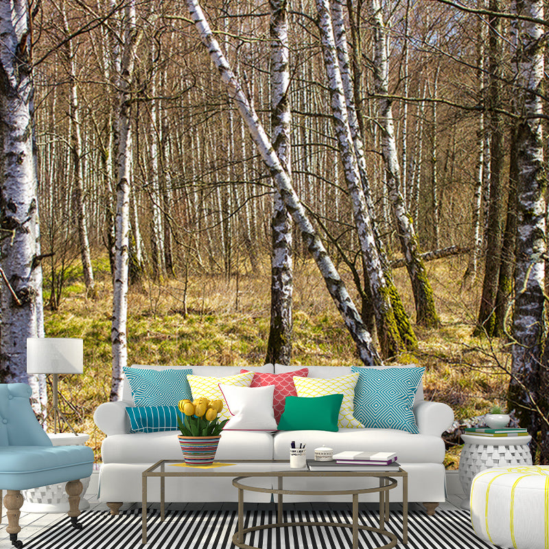 Forest Photo Wall Mural for Living Room Bedroom Wall Decor, Made to Measure