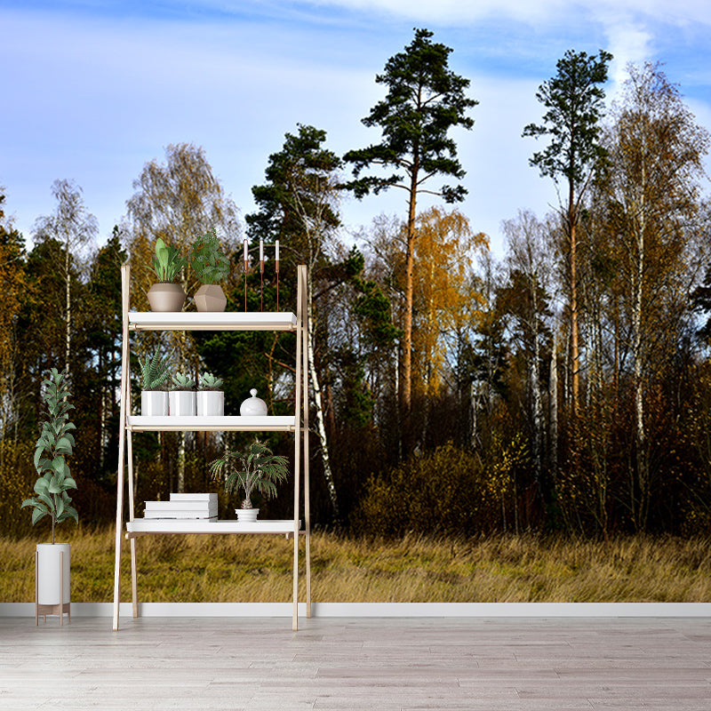 Forest Photo Wall Mural for Living Room Bedroom Wall Decor, Made to Measure