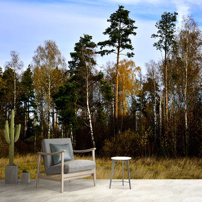 Forest Photo Wall Mural for Living Room Bedroom Wall Decor, Made to Measure