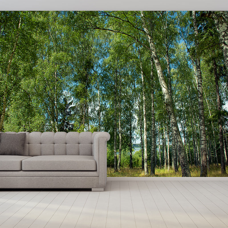 Forest Photo Wall Mural for Living Room Bedroom Wall Decor, Made to Measure