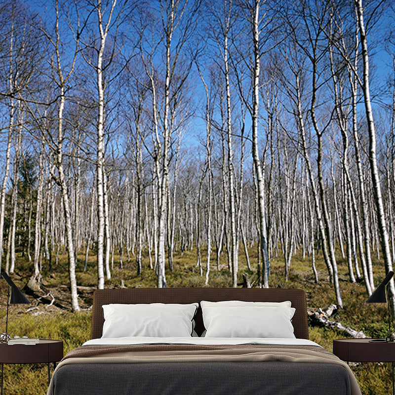 Autumn and Winter Forest Scenery Mural Wallpaper for Home Decor, Moisture Resistant