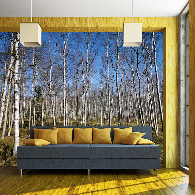 Autumn and Winter Forest Scenery Mural Wallpaper for Home Decor, Moisture Resistant