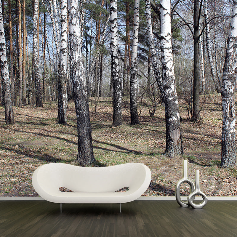 Autumn and Winter Forest Scenery Mural Wallpaper for Home Decor, Moisture Resistant