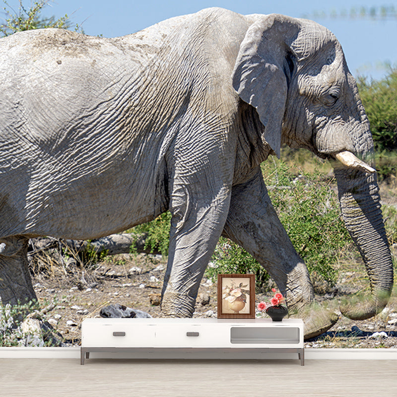 Wild Elephant Animal Mural Wallpaper for Sitting Room, Moisture Resistant