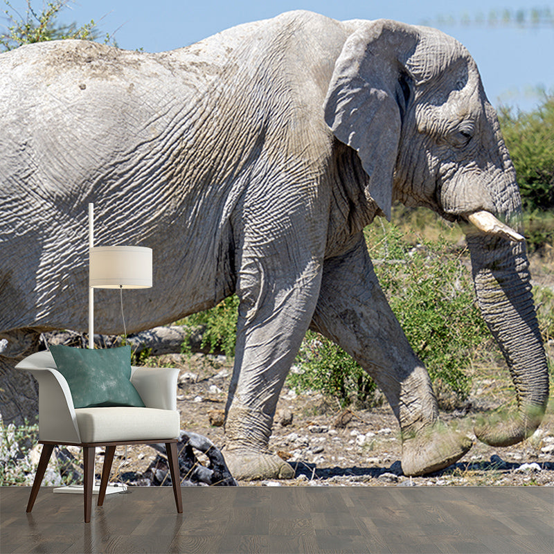 Wild Elephant Animal Mural Wallpaper for Sitting Room, Moisture Resistant