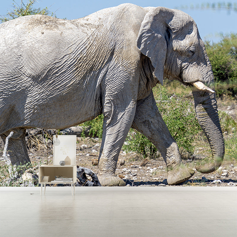 Wild Elephant Animal Mural Wallpaper for Sitting Room, Moisture Resistant