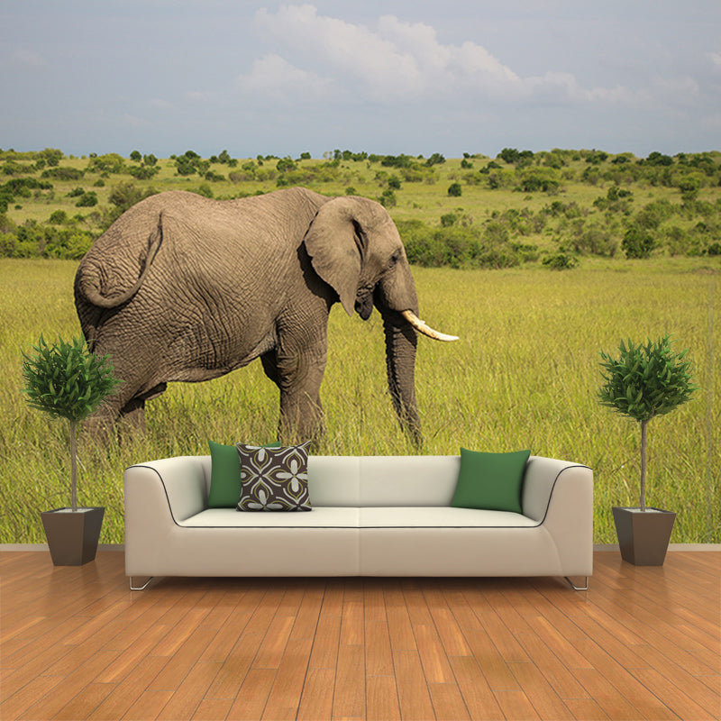 Wild Elephant Animal Mural Wallpaper for Sitting Room, Moisture Resistant