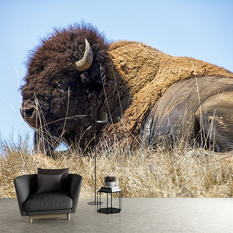 Bison Animals Mural Wallpaper for Sitting Room Decoration, Made to Measure