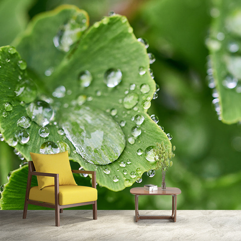 Ginkgo Biloba Moisture Resistant Mural for Sitting Room, Customized Size Available