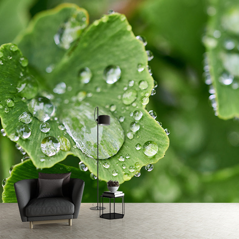 Ginkgo Biloba Moisture Resistant Mural for Sitting Room, Customized Size Available