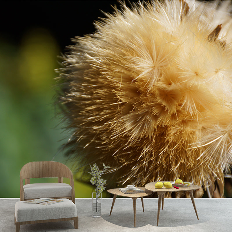 Seed Dandelion Full Size Wall Covering for Reading Room, Customized Size Available