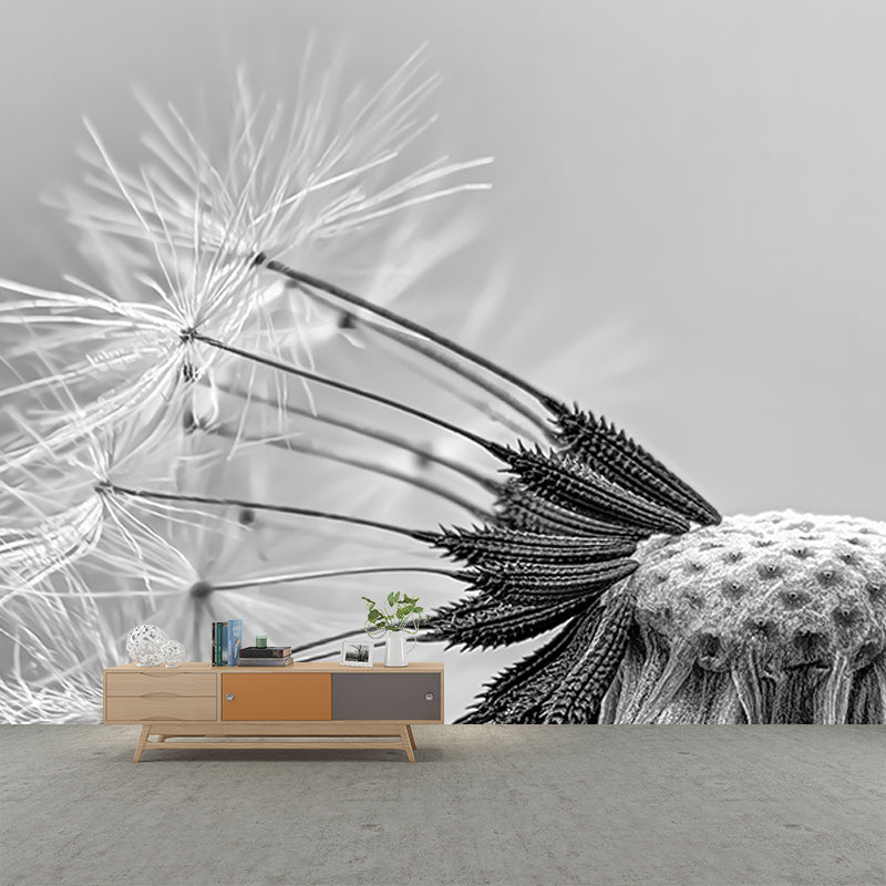 Seed Dandelion Full Size Wall Covering for Reading Room, Customized Size Available