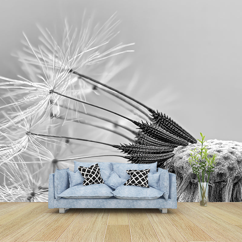 Seed Dandelion Full Size Wall Covering for Reading Room, Customized Size Available