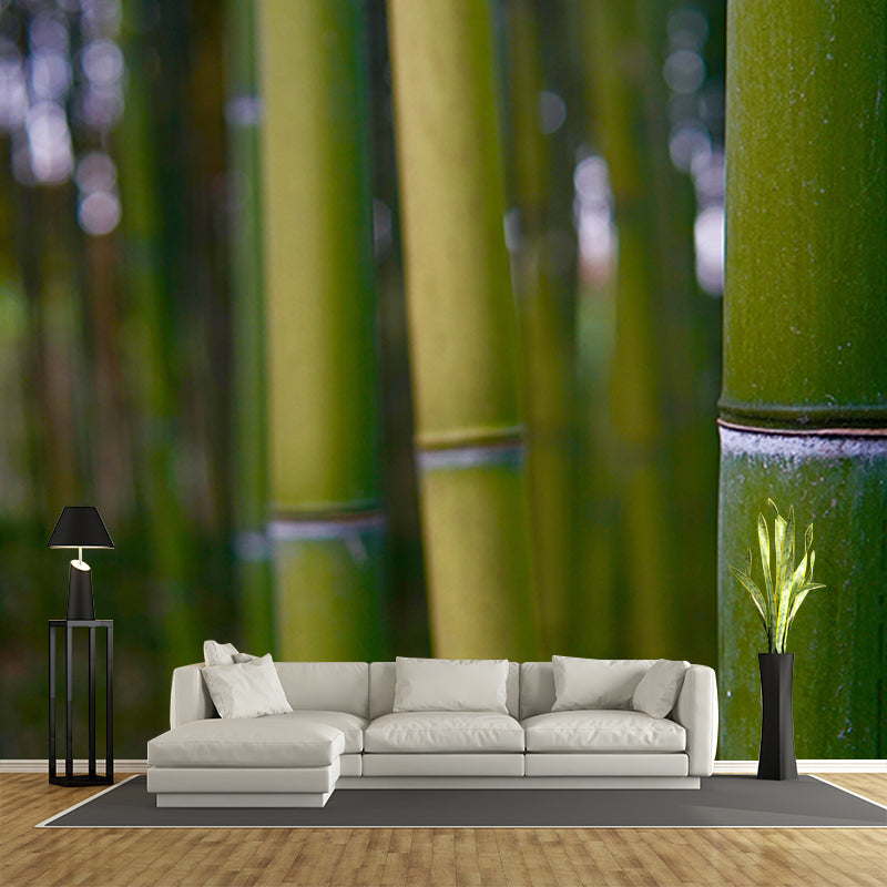 Bamboo Forest Moisture Resistant Mural for Sitting Room, Customized Size Available