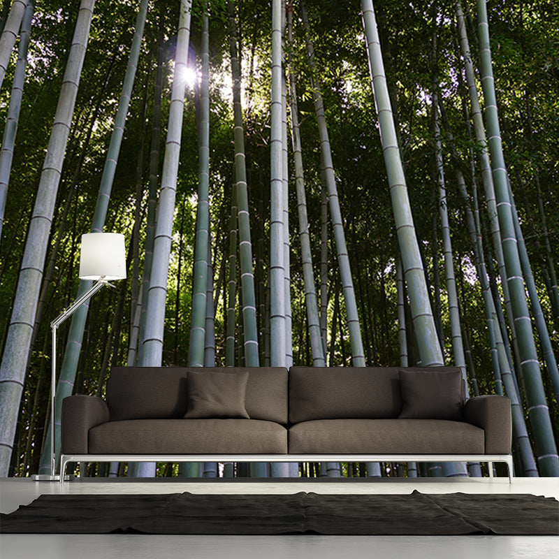 Bamboo Forest Moisture Resistant Mural for Sitting Room, Customized Size Available