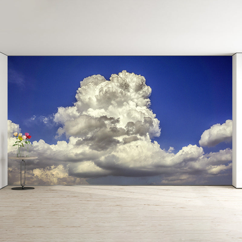 Contemporary Style Cloudscape Mural Mildew Resistant Wall Covering for Living Room Decor