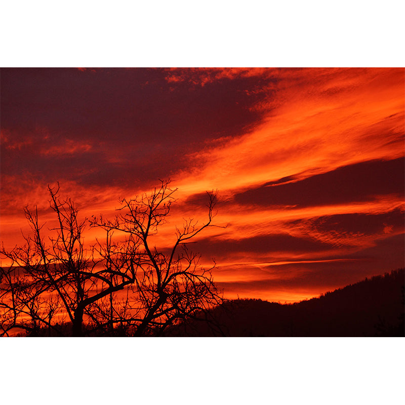 Contemporary Style Cloudscape Mural Mildew Resistant Wall Covering for Living Room Decor