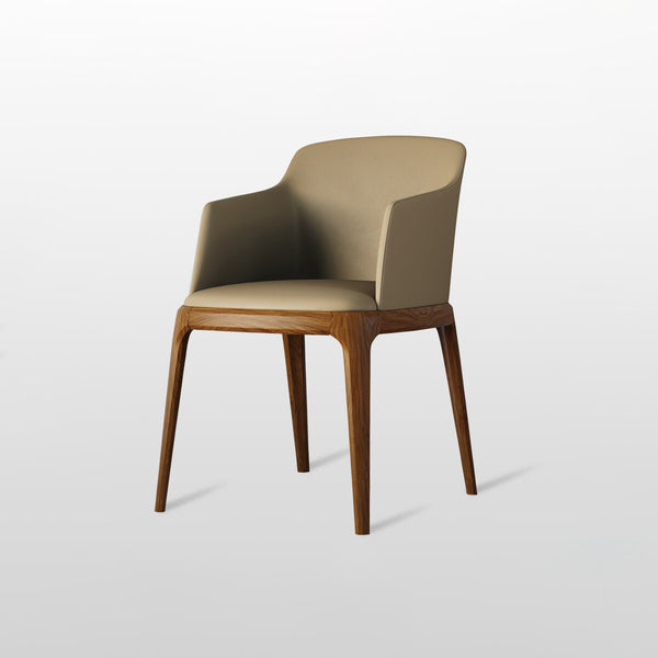 Contemporary Style Wooden Dining Chairs Dining Arm Side Chairs for Kitchen (Set of 2)