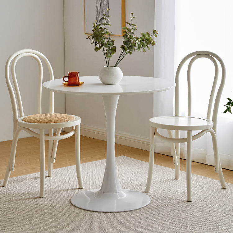 Les chaises contemporaines en hêtre massif ont placé les chaises de salle à manger de cuisine arrière de Windsor