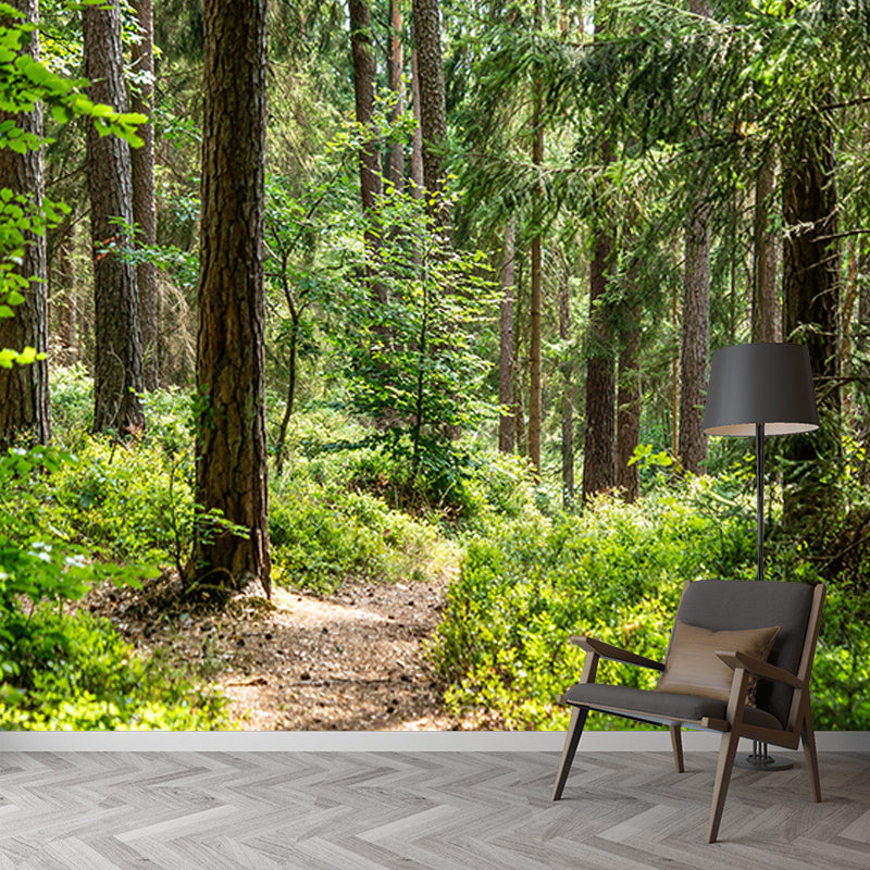 Green Forest Landscape Mural Wallpaper for Reading Room, Water Resistant
