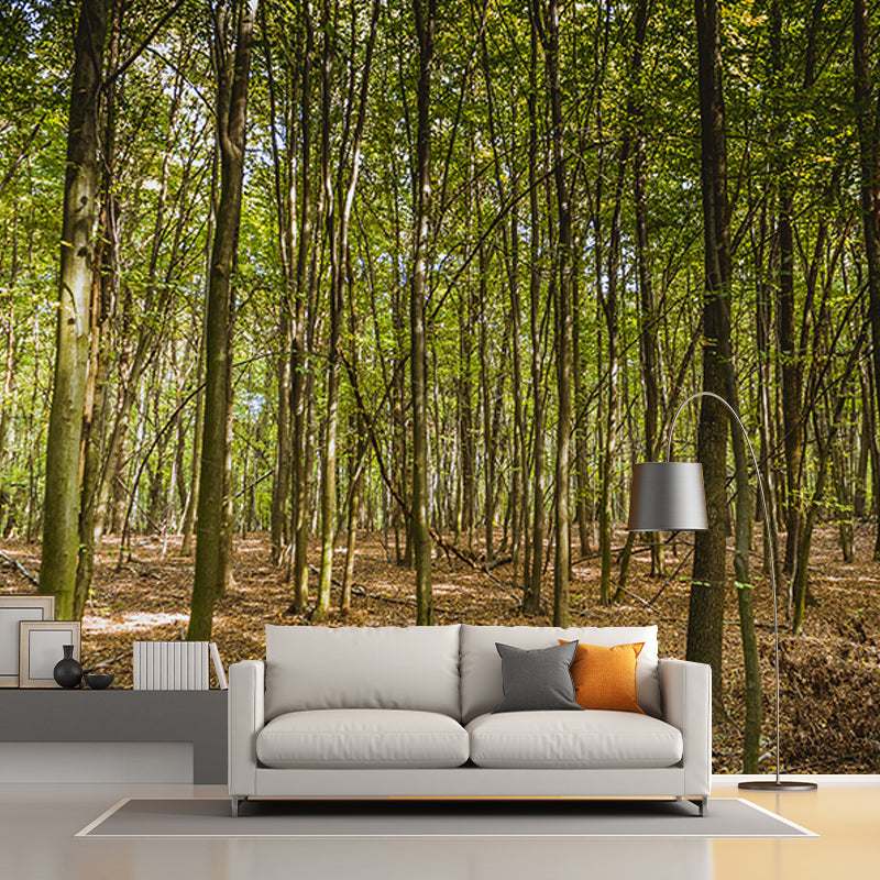 Green Forest View Wall Mural for Living Room Wall Decor, Made to Measure