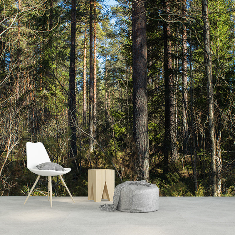 Green Forest View Wall Mural for Living Room Wall Decor, Made to Measure