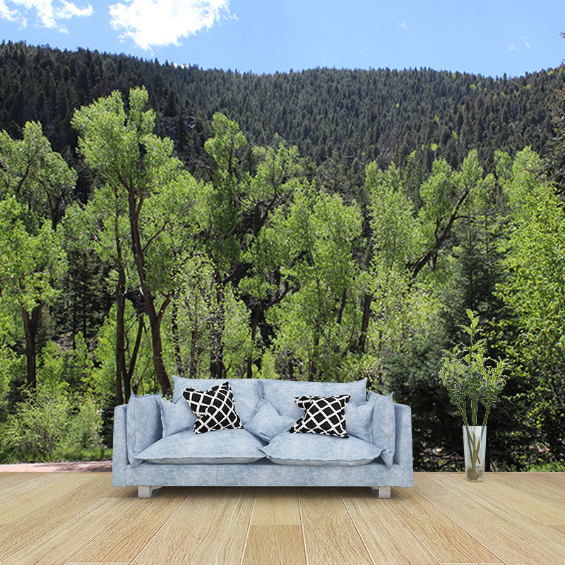 Green Forest View Wall Mural for Living Room Wall Decor, Made to Measure