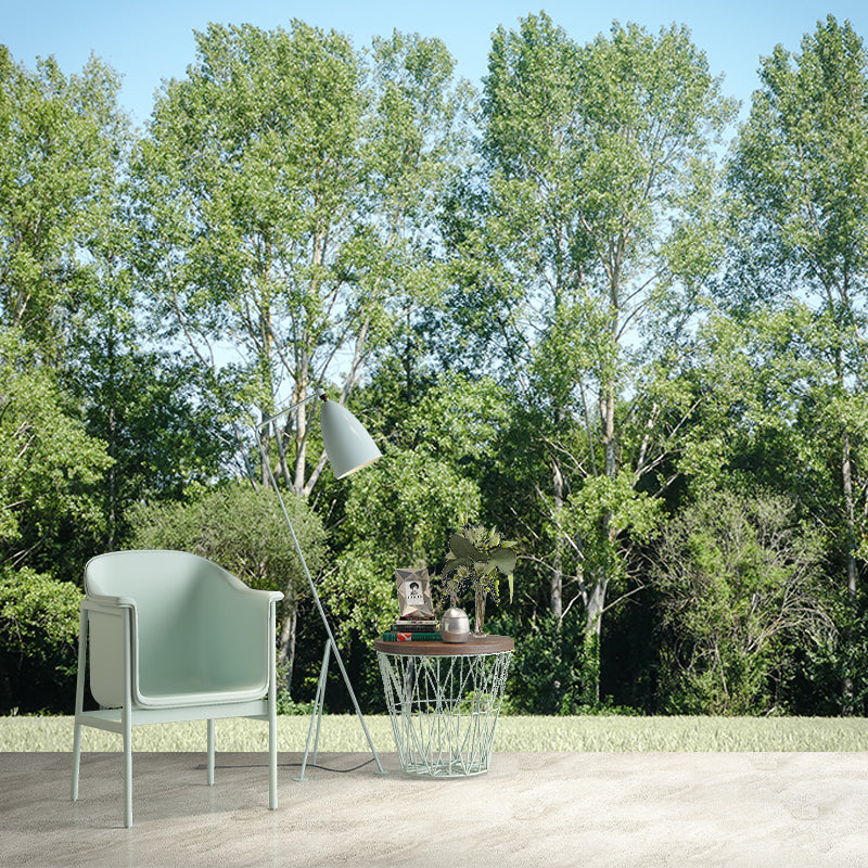 Green Forest View Wall Mural for Living Room Wall Decor, Made to Measure