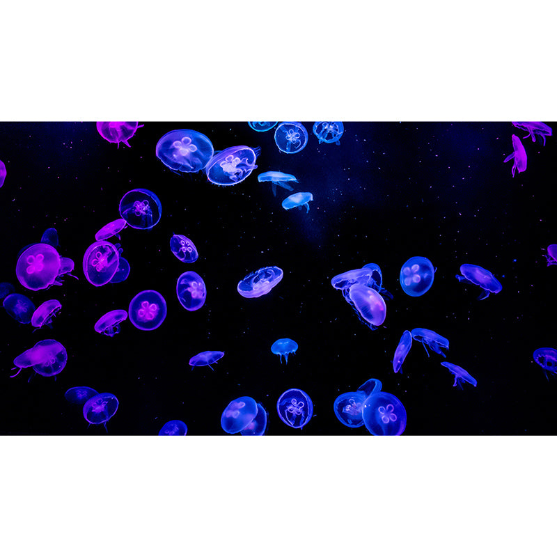 Underwater Life Photo Mural Personalized Minimalist Wall Covering for Living Room