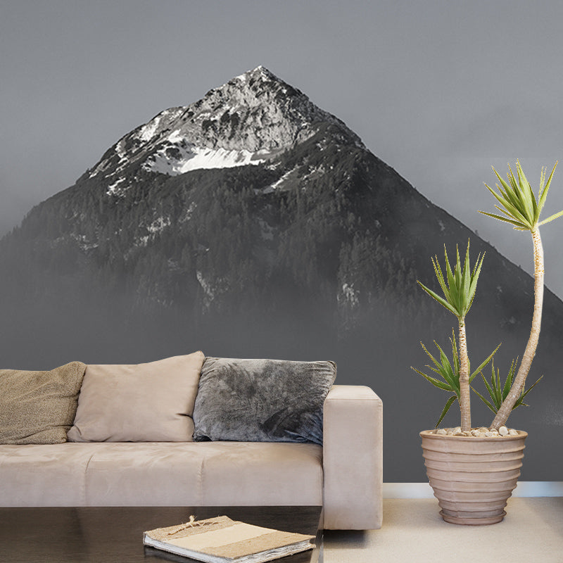 Mountain Scenery Full Size Wall Covering for Living Room, Customized Size Available