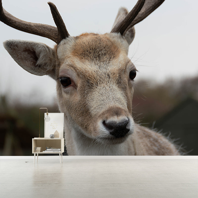 Deer Animal Minimalist Wall Covering for Living Room, Customized Size Available