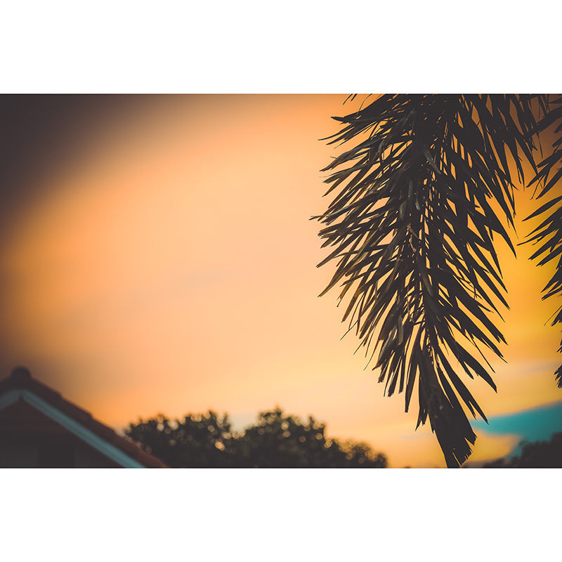 Tropical Palm Leaves Mural Soft Color Stain Resistant Wall Art for Living Room