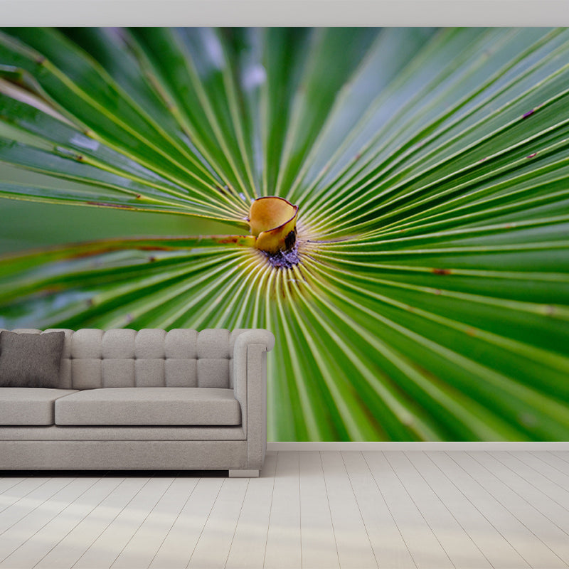 Tropical Palm Leaves Mural Soft Color Stain Resistant Wall Art for Living Room
