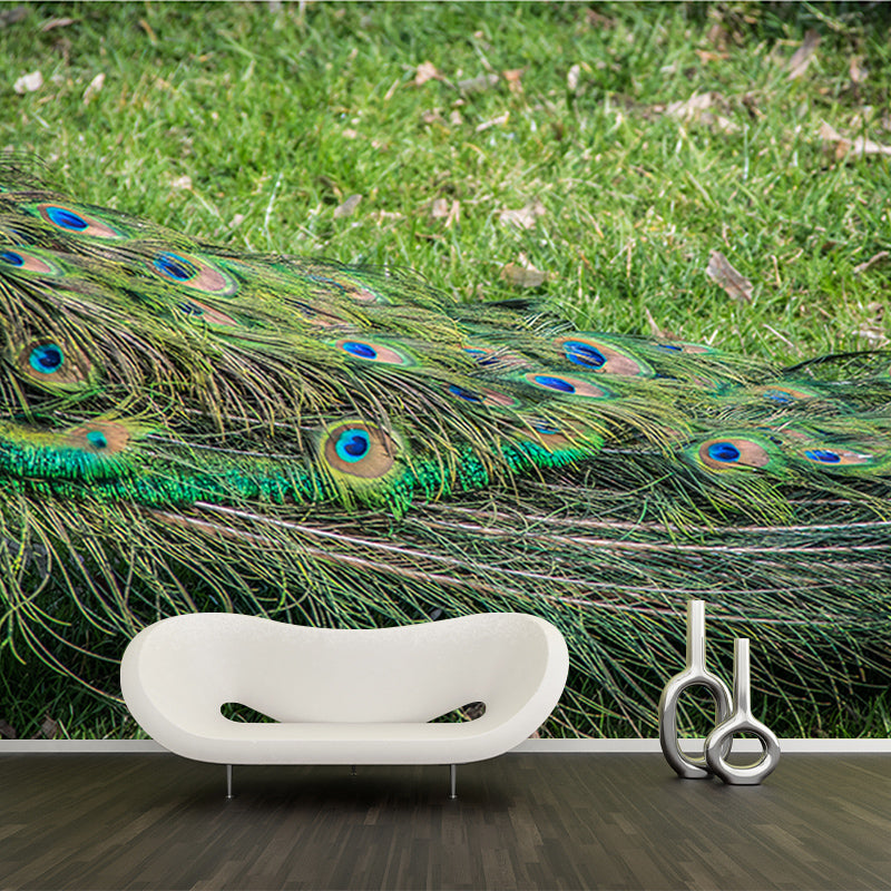 Tropical Peacock Feather Wall Covering Murals Sitting Room Wall Decor, Waterproofing