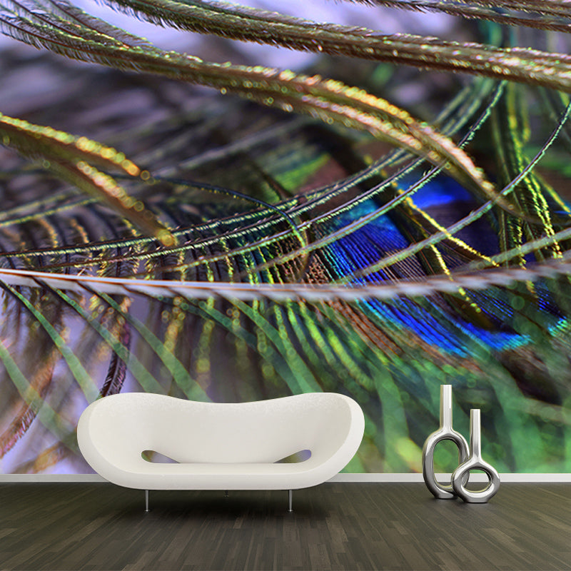 Tropical Peacock Feather Wall Mural Wallpaper Modern Water Resistant Wall Art for House Interior