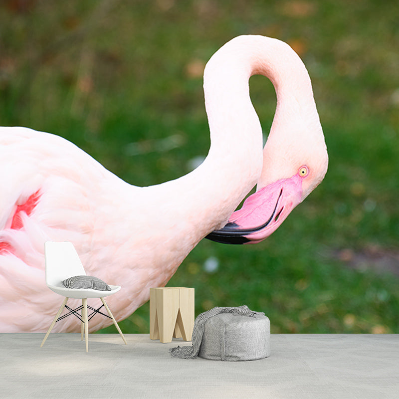 Flamingo Customized Wall Mural Contemporary Photography for Living Room