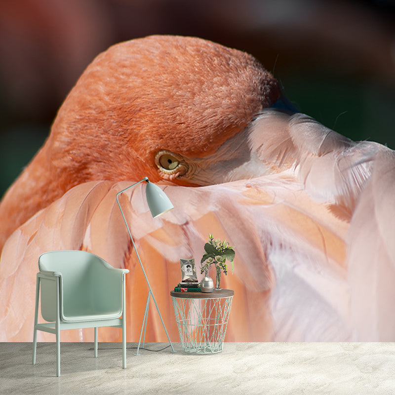 Flamingo Customized Wall Mural Contemporary Photography for Living Room