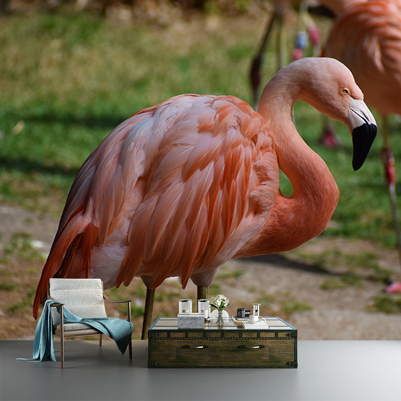 Flamingo Customized Wall Mural Contemporary Photography for Living Room