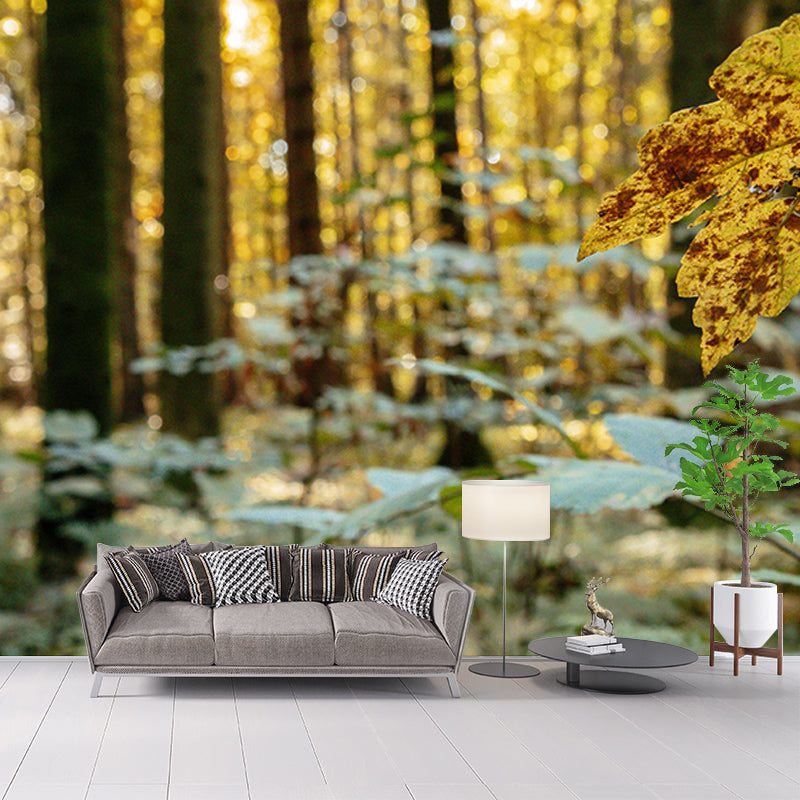 Contemporary Forest Trees Mildew Resistant Wall Art for Living Room Reading Room