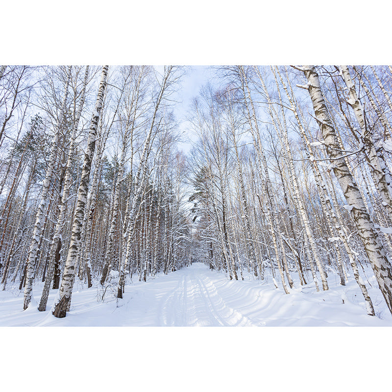 Contemporary Forest Trees Mildew Resistant Wall Art for Living Room Reading Room