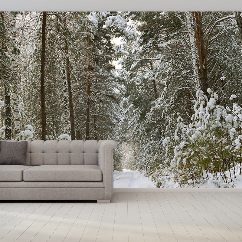 Contemporary Forest Trees Mildew Resistant Wall Art for Living Room Reading Room