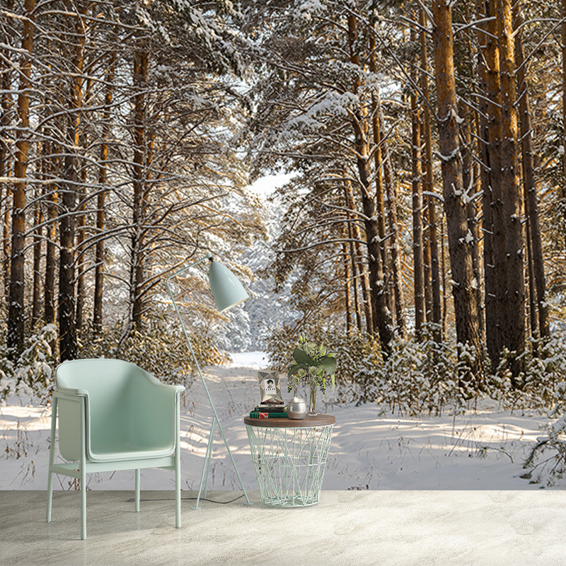 Winter Forest Landscape Mural Wallpaper for Home Decoration, Moisture Resistant